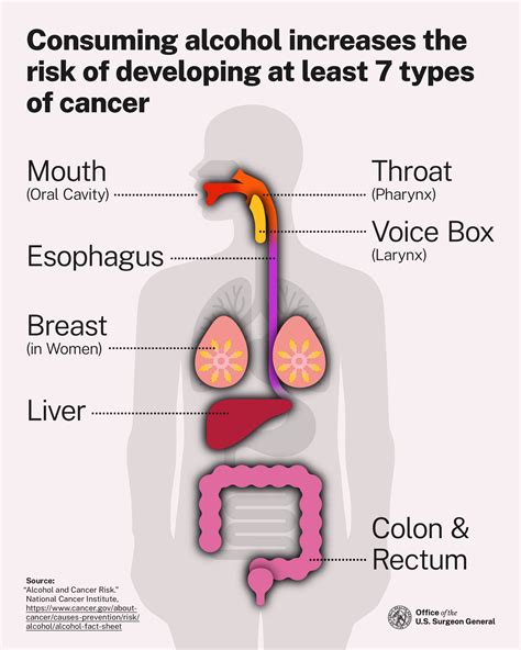 Alcohol Cancer Warnings
