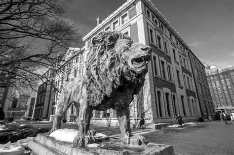 Should You File A Columbia University Lawsuit For Sexual Assault By Dr Should You File A Columbia University Lawsuit For Sexual Assault By Dr
